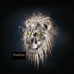 NudAir HDTV