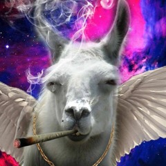 FlyinMagicLlama