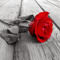 User 56819277