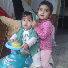 Shahid Mehmood