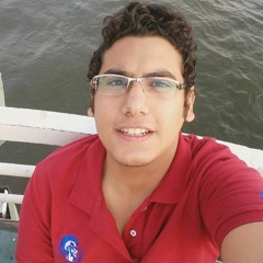Youssef Sakr 4