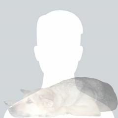 [Official Audio] Ông bà anh - Lê Thiện Hiếu