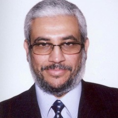 Ahmed Abdel Motaleb