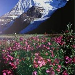 تاخدنا الدنيا