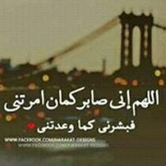 Mohamed Ahmed Fawzy