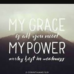 Steven N Sepiuta Schaaf