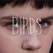 Birds Series