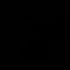 noam44