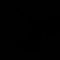 noam44