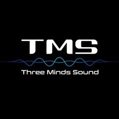 Three Minds Sound