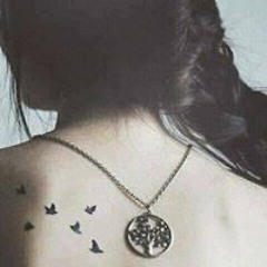 MaRwa MiRo