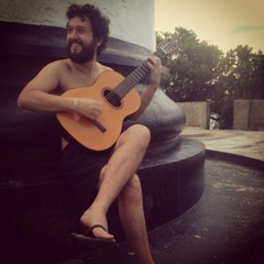 Pedro Milanesi Lopes