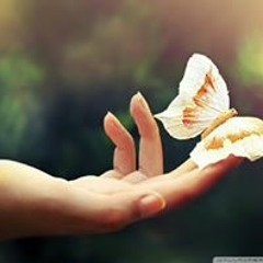 سامضى والثبات يشد اذرى