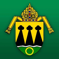 Catholic Diocese of Rapid City