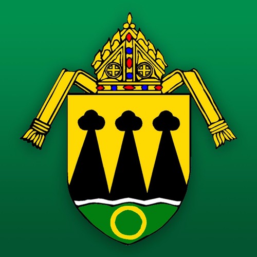 Catholic Diocese of Rapid City’s avatar