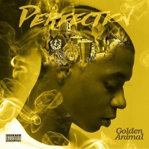 Stream Golden Animal music | Listen to songs, albums, playlists for ...