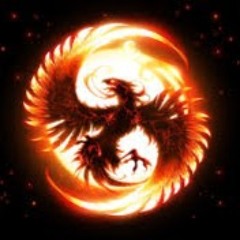 The wild Phoenix