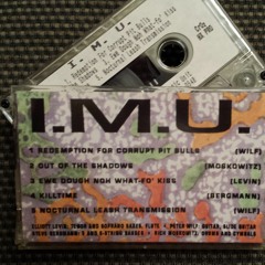 IMU Intuitive Music Unit