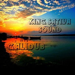 king sativa sound
