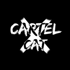 CARTEL CAT