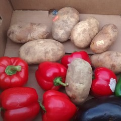 Even Dwarfs Started Small