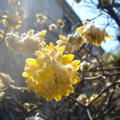 I Can't Fall In Love Without You - Zara Larsson (Cover)