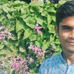 Arpan Ku. Jenamani