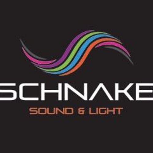 Schnake  techno