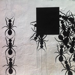 The Waltzer Takedown