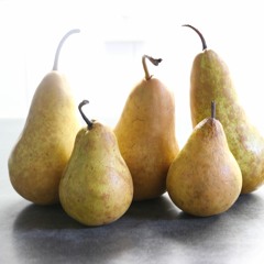 Linda Barry (lalalinda)