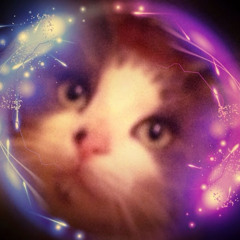 kitten king