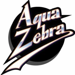 Aqua Zebra