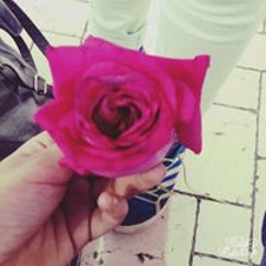 Hoda Elsayed Awad