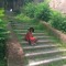 Bobo_Voshi