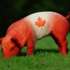 Canadian Bacon