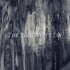 The Bird Won't Fly