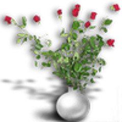 User 365914084