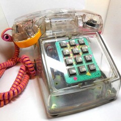 PHONE BANKING + Calling Your Reps