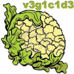 v3g1c1d3