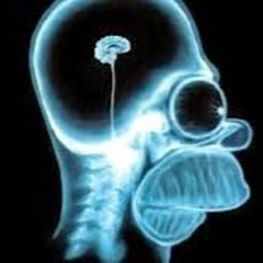 ´Hirnzocker `