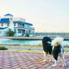 Nawaf MYD