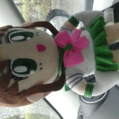 Sailor Jupiter