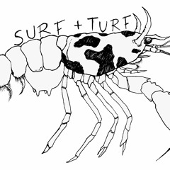 Surf + Turf