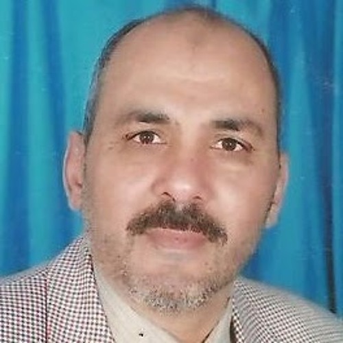 Nasr Alsisi’s avatar