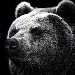 rinthegrizzly