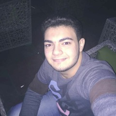 Ali El-Zayat 1