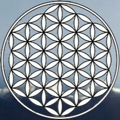 dıνεянʌzє ᐂ