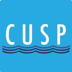 Contemporary Undercurrent of Song Project