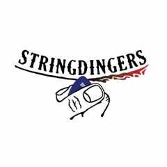 Stringdingers