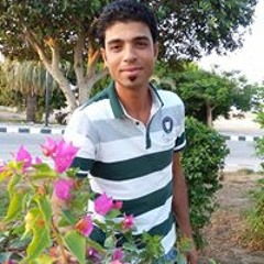 Adam Collaction